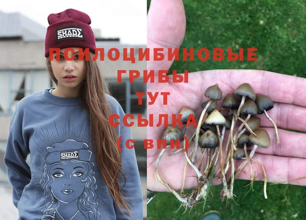 хмурый Киренск