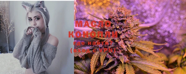 мет Кинешма