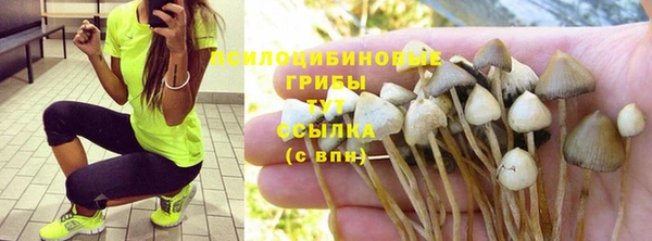 синтетический гашиш Киреевск