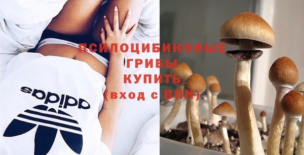 мет Кинешма